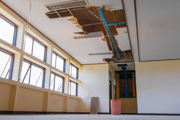 Best Water damage restoration near me  in Beaver Dam Lake, NY