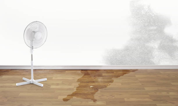 Best Carpet water damage restoration  in Beaver Dam Lake, NY