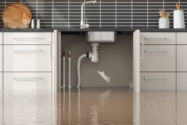 Best Professional water damage repair  in Beaver Dam Lake, NY